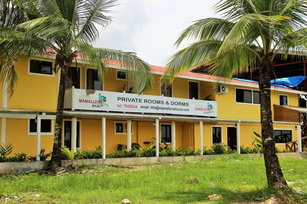Hostel Mamallena Bocas Del Toro (Adults Only) Ngoại thất bức ảnh