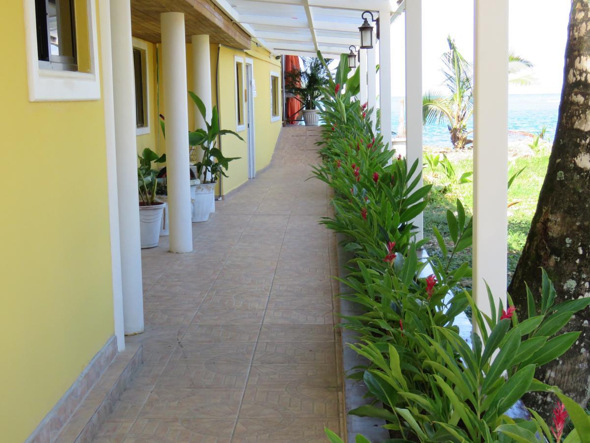 Hostel Mamallena Bocas Del Toro (Adults Only) Ngoại thất bức ảnh