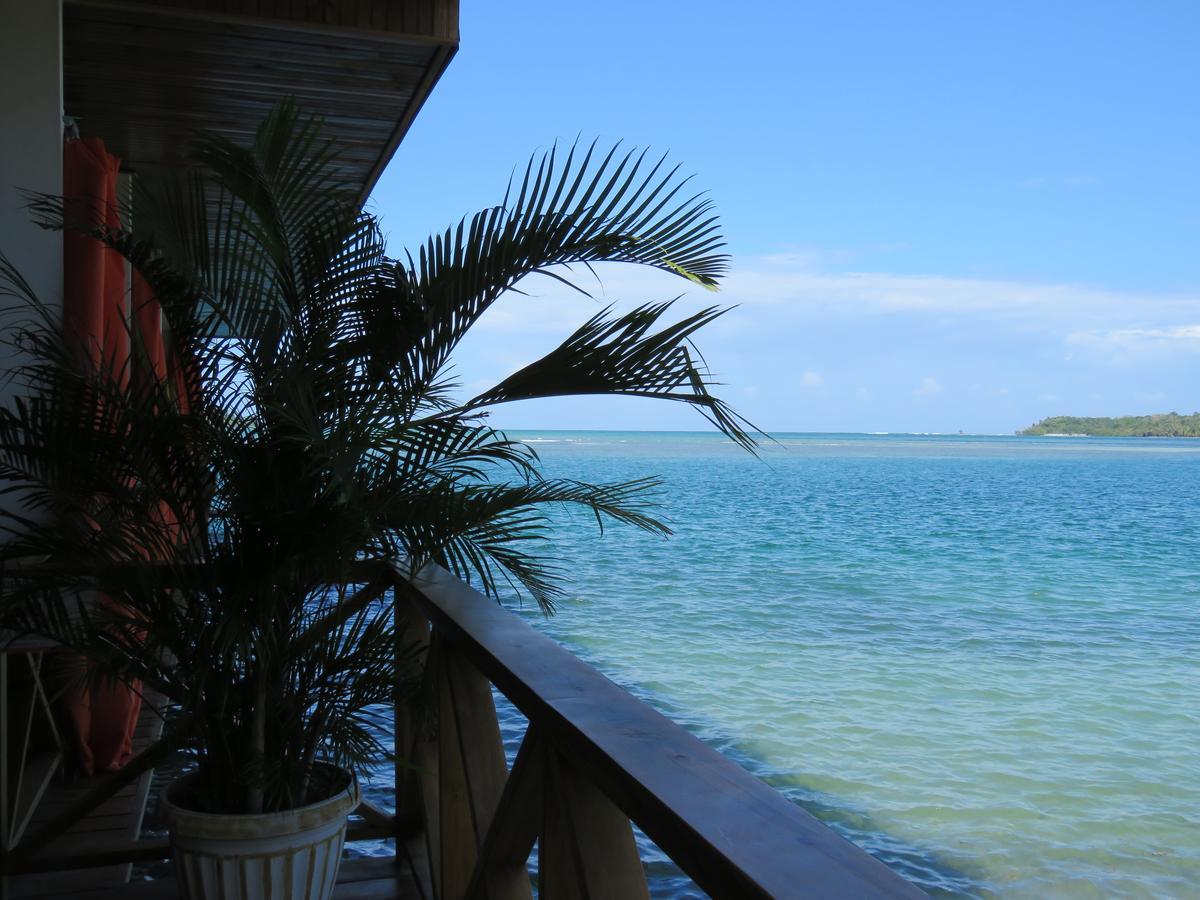 Hostel Mamallena Bocas Del Toro (Adults Only) Ngoại thất bức ảnh